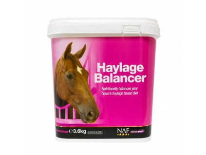 Haylage balancer pro efektivní trávení vlákniny, kyblík 1,8 kg