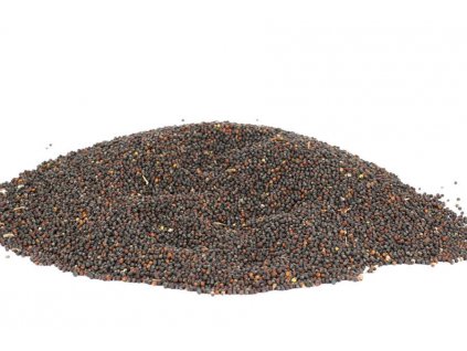Semena řepka olejka 25 kg - detail