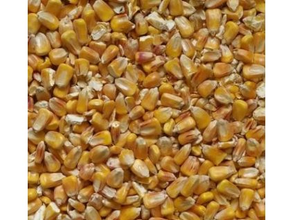 Kukuřice krmná zrno 25 kg