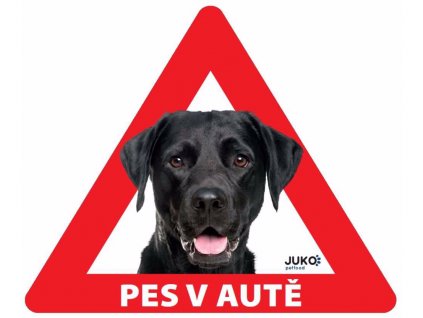 Samolepka pes v autě vnitřní - labrador černý