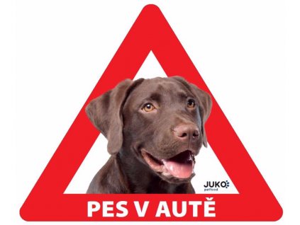 Samolepka pes v autě vnitřní - labrador hnědý