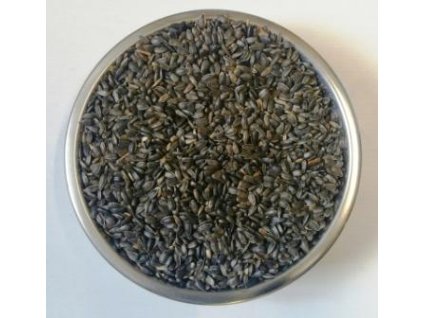24974 1 agrix slunecnice cerna 1 kg