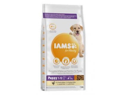 Iams Dog Puppy Large Chicken 12kg granule krmivo pro psy štěňata velkých plemen