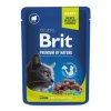 Brit Premium Cat kapsa Lamb for Sterilised 100g