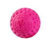 Hračka pes BALL MINI plov. z TPR růžová Kiwi