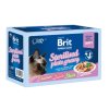Brit Premium Cat D Fillets Gravy FamPlate Steril.1020g