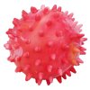Hračka pes Míč s bodlinami plovací Vanil. červená