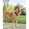 PetSafe® postroj pro psy 3v1, Harness and Car Restraint, černá, M
