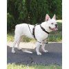 PetSafe® postroj pro psy 3v1, Harness and Car Restraint, černá, M