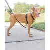 PetSafe® postroj pro psy 3v1, Harness and Car Restraint, černá, M