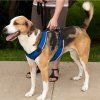 PetSafe® Postroj EasySport červený L