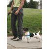 PetSafe® Postroj EasyWalk Deluxe modrý velikost M/L