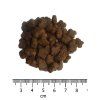 OPTIMAnova Cat Kitten 6 kg - granulace