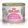 Royal Canin Feline Babycat 195g konzerva