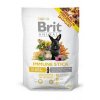 Brit Animals  Immune Stick for Rodents 80g