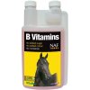 B vitamins pro soustředěnost a vitalitu koní, láhev s dávkovačem 1000 ml