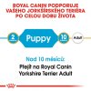 Royal Canin Breed Yorkshire Puppy