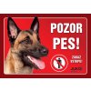 Cedulka plast BELGICKÝ OVČÁK MALINOIS