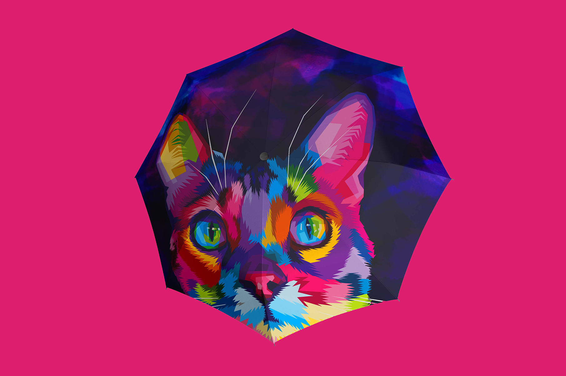 Kočičí deštníky