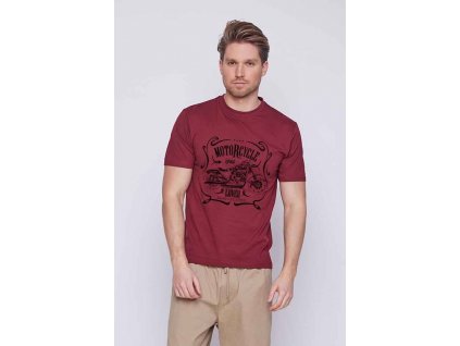 Men s Printed T shirts (5)