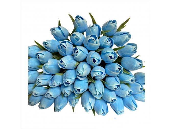 TULIPAN DEEP SKY BLUE