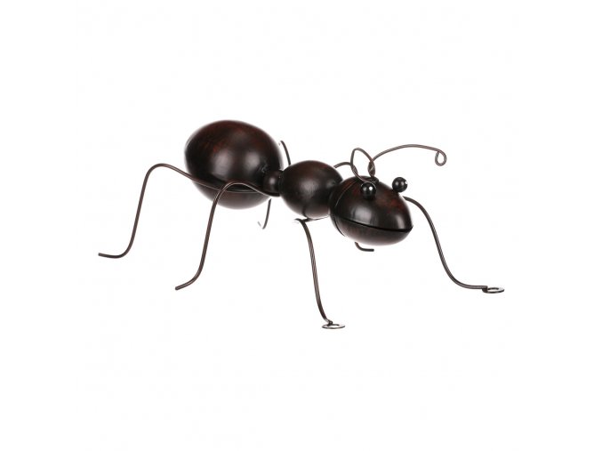 mravenec v