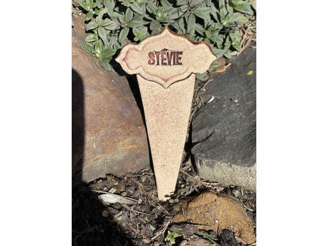 STÉVIE