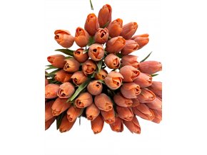 ORANGE TULIPÁN