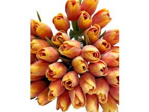 DEEP ORANGE TULIPÁN