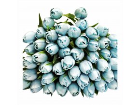 Tulipá steel blue