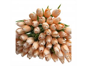 Tulipan light peach