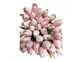 TULIPAN BLUSH PINK