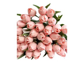 PASTEL SALMON TULIPAN