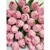tulipán barva pink