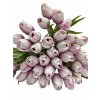 tulipán white purple z nasí kredence