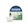 white gardenia vonny vosk