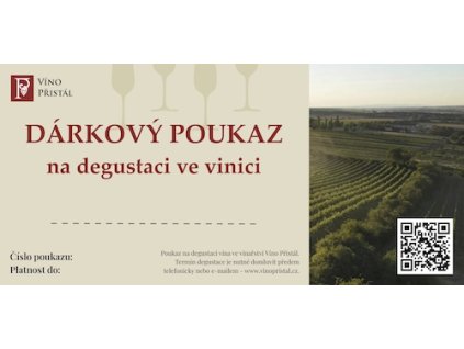 Degustace vína ve vinohradu