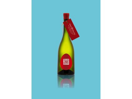 Sauvignon Blanc, bílé víno BETON