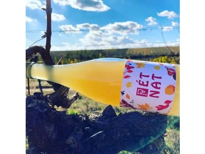 Pet-nat Veltlínské zelené 2025