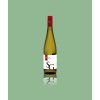 Sauvignon Blanc 2025, suché bílé víno