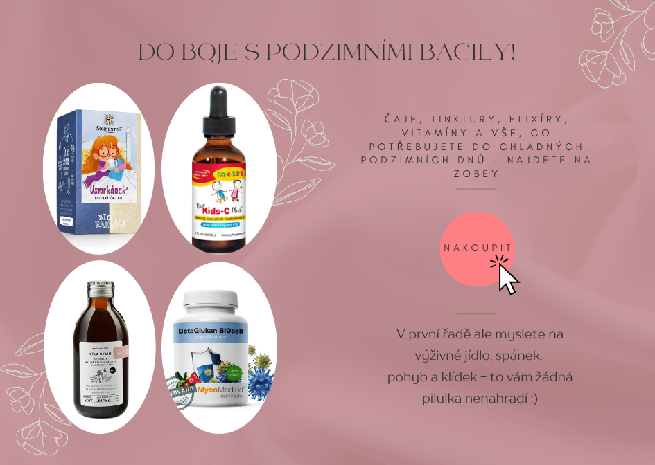 Podzimní boj proti bacilům. Vitamíny, čaje, tinktury pro podporu imunity a boj s nemocí
