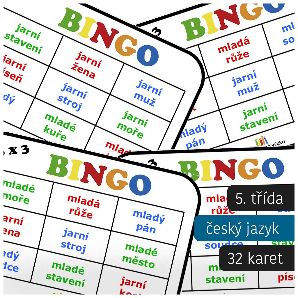 bingo vzory podstatných a přídavných jmen