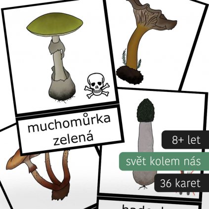 houby trislozkove karty