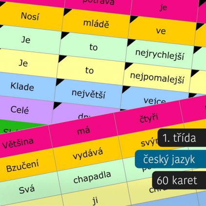 čtení s porozuměním