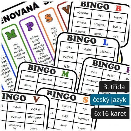 bingo vyjmenovaná slova hra český jazyk.png