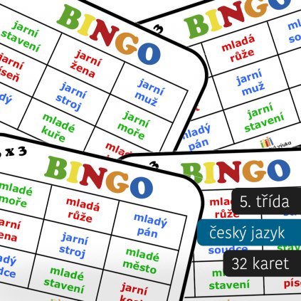 bingo vzory podstatných a přídavných jmen