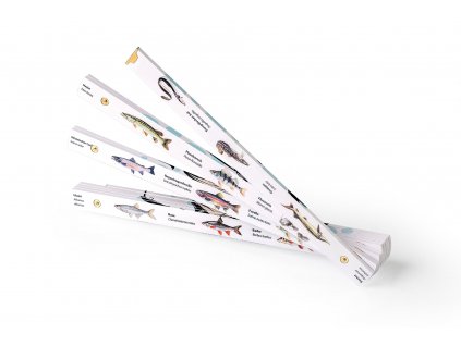 Metrie™ Premium, 2m Zollstock, Geschenk für Angler, Fotodruck von 30 Süßwasserfischen, Typ Block 52