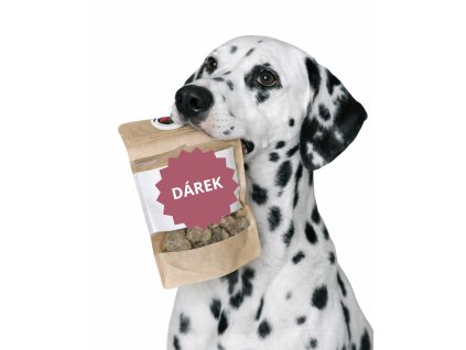 zolly darek k objednavce