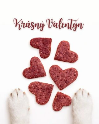 Dnes slavíme svátek zamilovaných. A tak nezapomeňte i na tu svou psí lásku, která je tu vždy pro vás! 🩷 Tu, co vítá u...