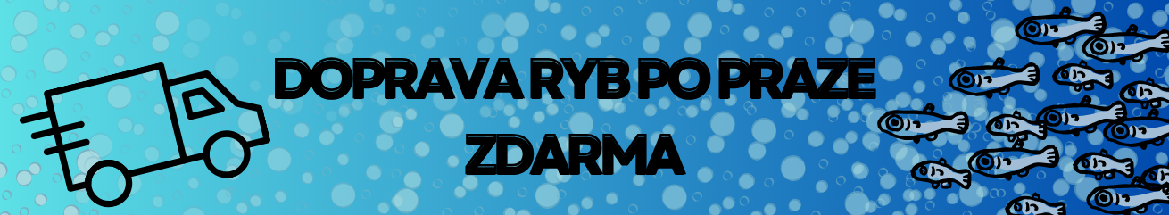 ZKOUŠKA